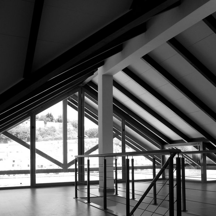 MULTI-PURPOSE BUILDING